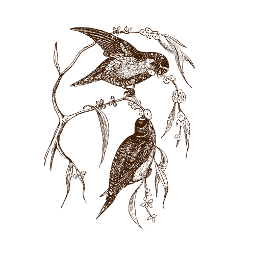 Raddie Maddie Photo Raddie Maddie Photo captures timeless, story-driven imagery for couples who value authenticity over perfection. Based in Las Vegas, NV and beyond, Maddie specializes in wedding and lifestyle photography that blends natural emotion with an editorial touch.